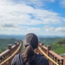 (주)말티 | 충북 보은 속리산 꼬부랑길 드라이브코스 말티재 전망대 카페 입장료 주차장 정보