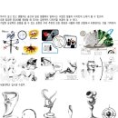 아트앤디자인학원 이미지