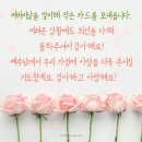 어버이날 이미지카드 활용하세요~! 이미지