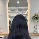 칼리헤어 이미지
