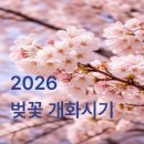 온천천일대14 | 2026 벚꽃 개화시기, 올해 어디가 먼저 필까
