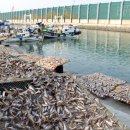 화수부두로 이미지