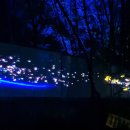 복사꽃공원 | 복사꽃이 흩날리는 환상적인/ 부천 루미나래 도화몽 프리뷰 후기