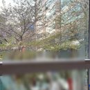 서울 구로 참치 무한리필 회식 맛집 내돈내산 추천 돌참치