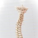 경희범박한의원 이미지