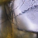 오피통신 이미지