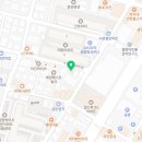 제선현 고양이 미용실 이미지