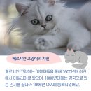 페르시안