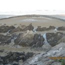 자라바위 펜션 이미지