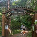 해마루공원로-24 | 소백산 국망봉·비로봉 산행 후기, 돼지바위 사진 스팟까지 📸⛰️