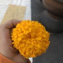 문재엄 헬스 | -11.6 일상