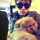 애견사랑 이미지