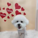 굿데이멍 이미지