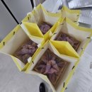 백제원 등촌점 | 강서구 상견례 : 백제원 등촌점 후기