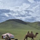 몽골여행5일차~낙타체험과사원및민속공연 이미지