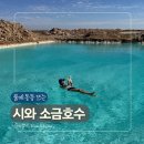 12월 | [여자혼자 이집트여행] 시와 소금호수 후기 | 12월 수영·준비물·주의사항 총정리