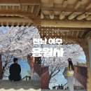 여수수협 앞 | [전남 여수] 용월사 후기 : 바다가 눈앞에 있는 아름다운 절