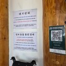 초당순두부 | 속초순두부맛집 초당본점 방문후기 (순두부, 감자전, 모두부, 주차, 웨이팅)