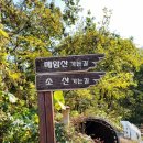 [2021-11-14/일] 기장 상곡마을-당나귀봉-철마산-철마서봉-입석마을 혼산 후기