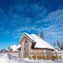 핀란드빌리지 | 북유럽 핀란드 오로라 여행 노던 라이츠 빌리지 숙소 후기