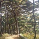 죽장마을(솔다박마을) 이미지