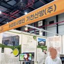 31140-8-27-2 | 2025 서울카페앤베이커리 페어 시즌2 8/27~30 관람 후기- 차(茶) 편