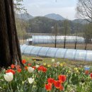 셉템버나인 커피로스터 이미지