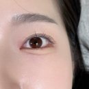 강남속눈썹연장잘하는곳 언더래쉬제이앤컬 대만족후기