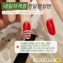 원스네일 이미지