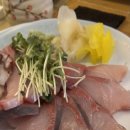 부엉이닷찌