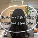사하하윤동물병원 | 부산 사하구 하단 미용실 추천 저렴한 클리닉 커트 예약 가격 화미주 아티클 헤어 하단점