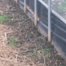 월학농장 이미지