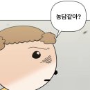 비스트스케이트보딩 이미지
