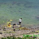 도산일주로 이미지