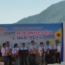 해바라기 축제 이미지