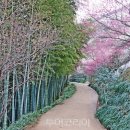 (기획투어)미식순천 이미지