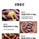 프룻하쥬
