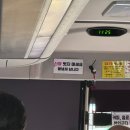 (주)코드넛 | 10월 시드니 여행🇦🇺 ① | 젯스타 엑스트라레그룸, THEECA, 패디스마켓, 면세점, 천문대, 마막 헤이마켓...