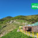 광성여관 이미지