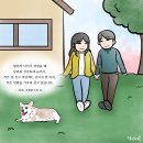 행복한 꿈 이야기
