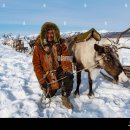 Baby deer(아기사슴) - Yakutia(Evenk 족 Folk Song) 이미지