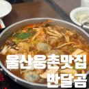 반달곰 | [울산 웅촌 맛집] 수제 만두전골 맛집 반달곰 내돈내산 후기