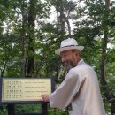 평화로(2) 이미지