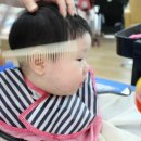 이발나라 이미지