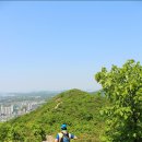 천마산 Daum카페