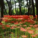 임기 지장암 이미지