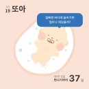 백수 첫 주 일상기록 몰아쓰기