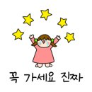 애견샵 어린왕자 이미지
