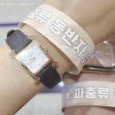 동반자 | 대전 파충류 박람회 파동 | 도마뱀 집사의 작은물결 파충류동반자 DCC 행사 후기