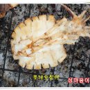 섬마을어부 이미지